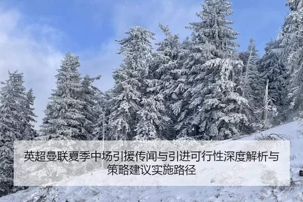 英超曼联夏季中场引援传闻与引进可行性深度解析与策略建议实施路径